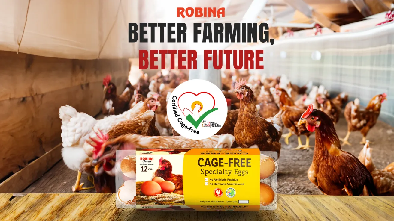 Cage-Free: Better Farming Better Future