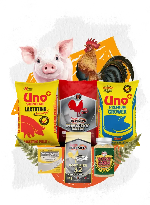 Pet Care collage