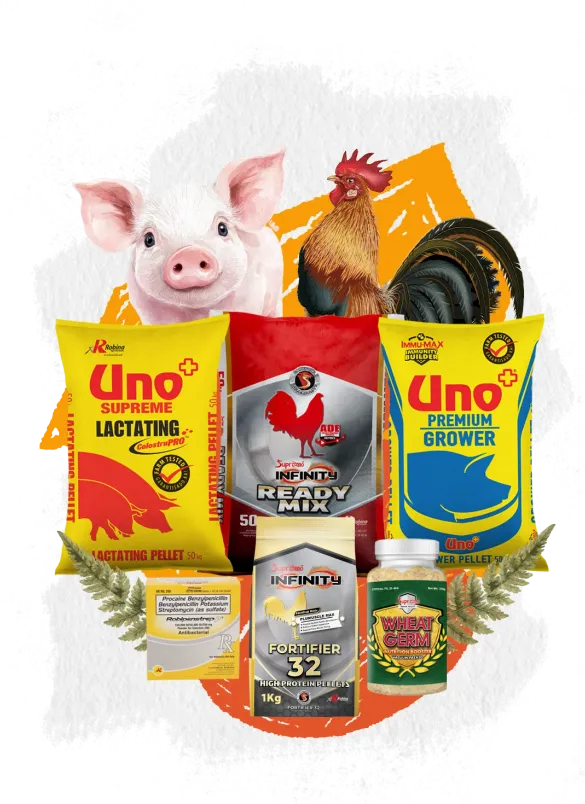 Pet Health & Nutrition collage