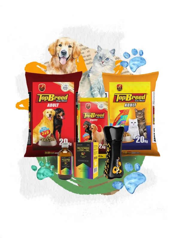 Pet Care collage