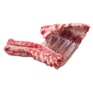 Pork Rib Shoulder