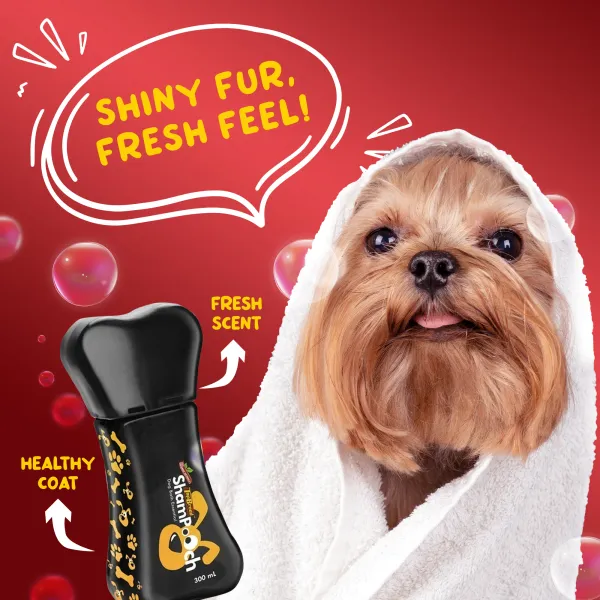 ShamPooch