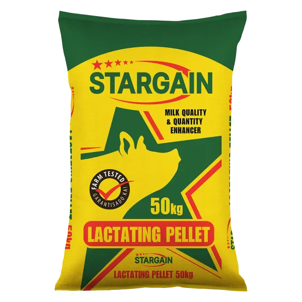 Stargain Lactating
