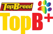 TopB+ Logo