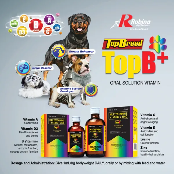 TopBPlus