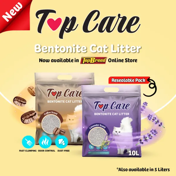 TopCare